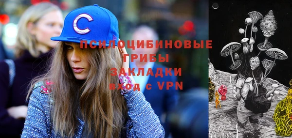 сатива Красноперекопск