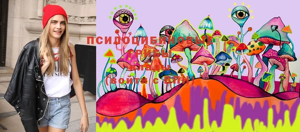 первитин Куйбышев