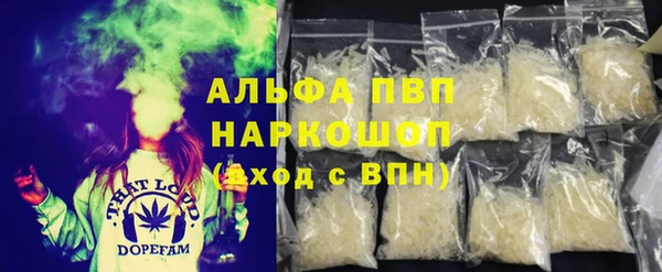 крисы Краснослободск