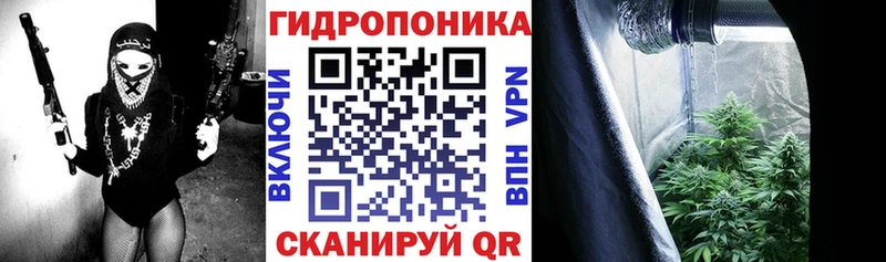 Купить где  Советский  Конопля сатива 
